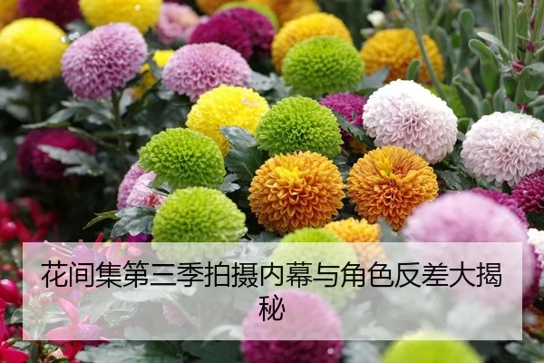 img_1789565927190_8_1_974.jpg